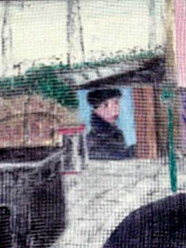 Arminstrasse, Puff, '98, 25x30, gardiniert,